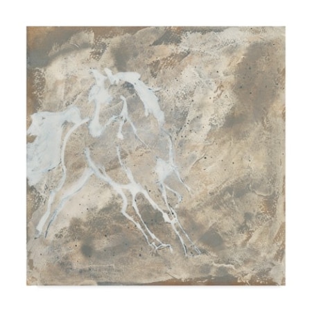 Chris Paschke 'White Horse I' Canvas Art,18x18